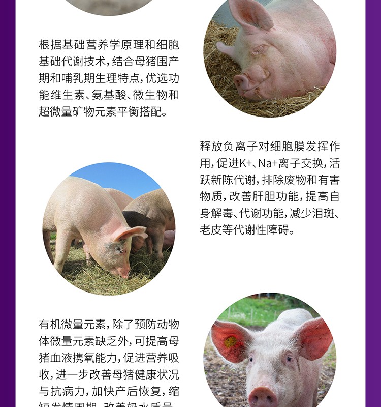 仔猪怎么补硒最快(仔猪补硒的作用)-硒宝网