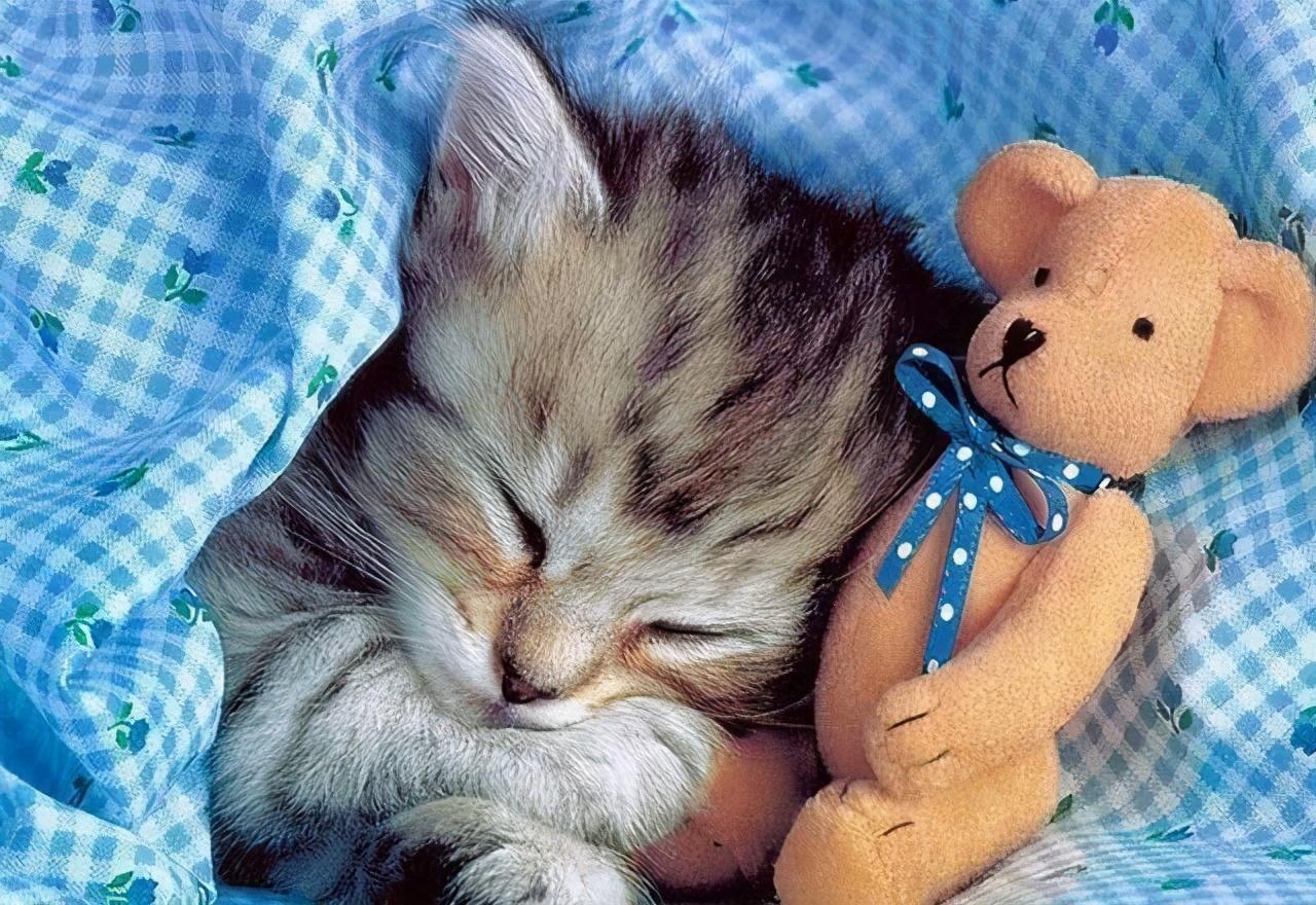 补硒能消除hpv(补硒真的可以去除hpv病毒吗)-硒宝网