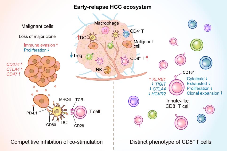 肿瘤患者补哪种硒(肿瘤补患者种硒好吗)-硒宝网
