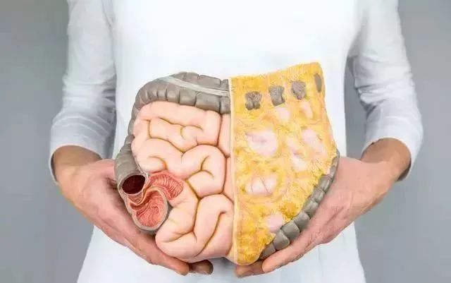 补硒桥本抗体下降(桥本抗体下降了)-硒宝网