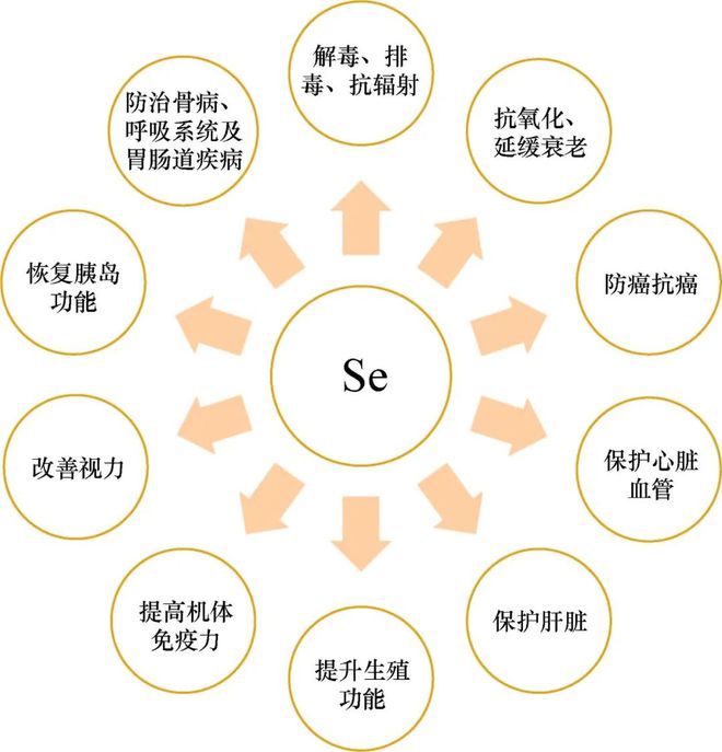 环境补硒最好方法（如何补硒元素）-硒宝网