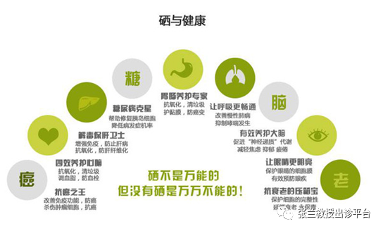 补硒桥本抗体下降(桥本甲减吃硒酵母抗体降了)-硒宝网