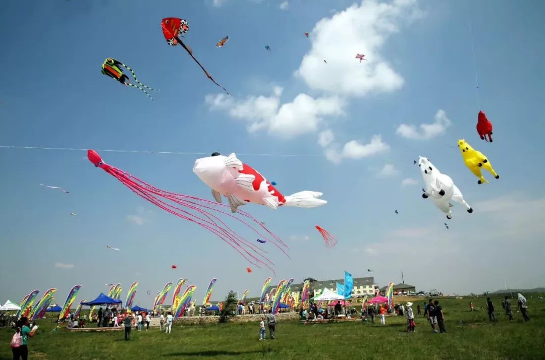 什么青菜补硒最快（含硒青菜）-硒宝网