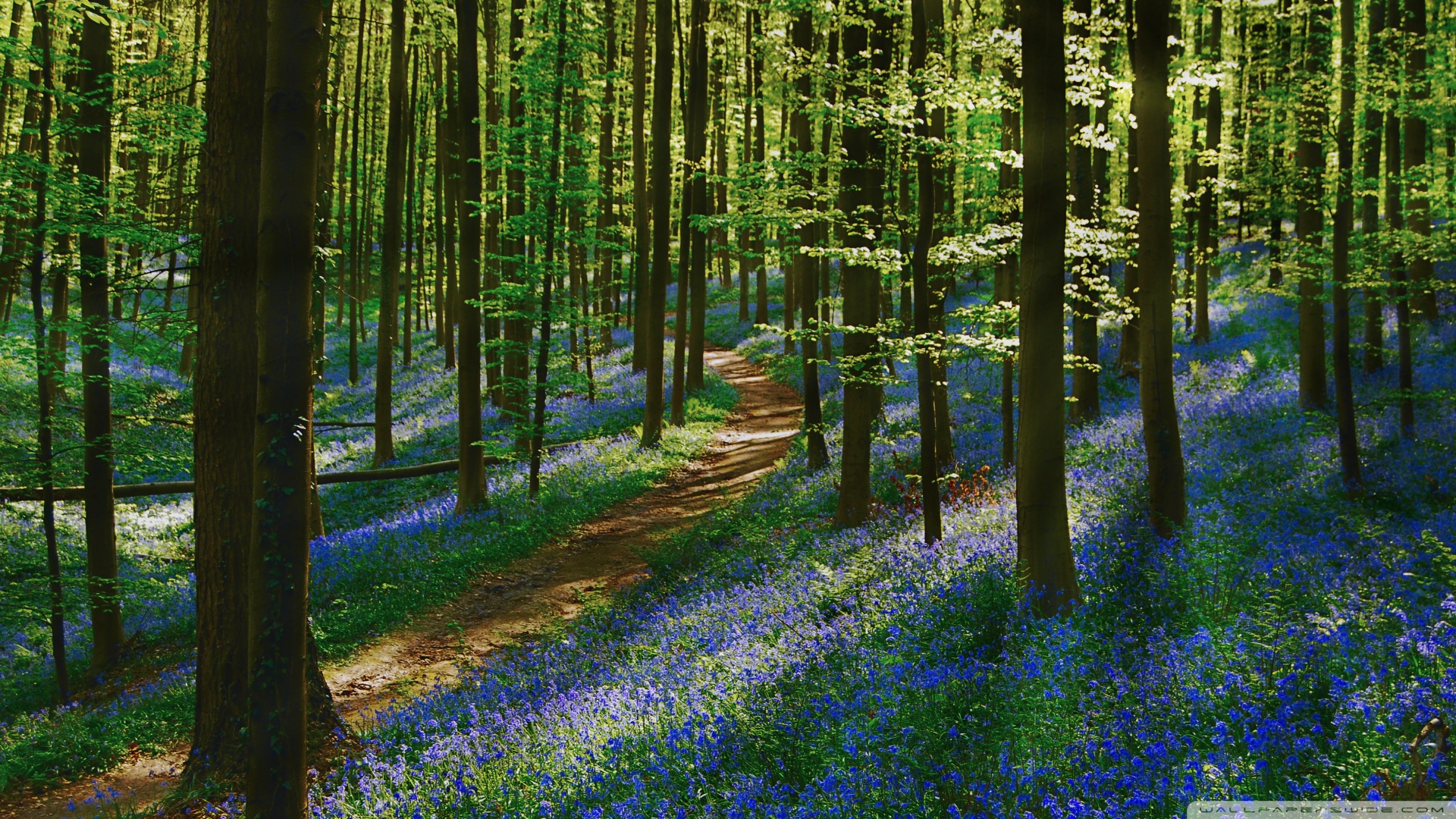 什么体质可以补硒（硒能随便补吗）-硒宝网