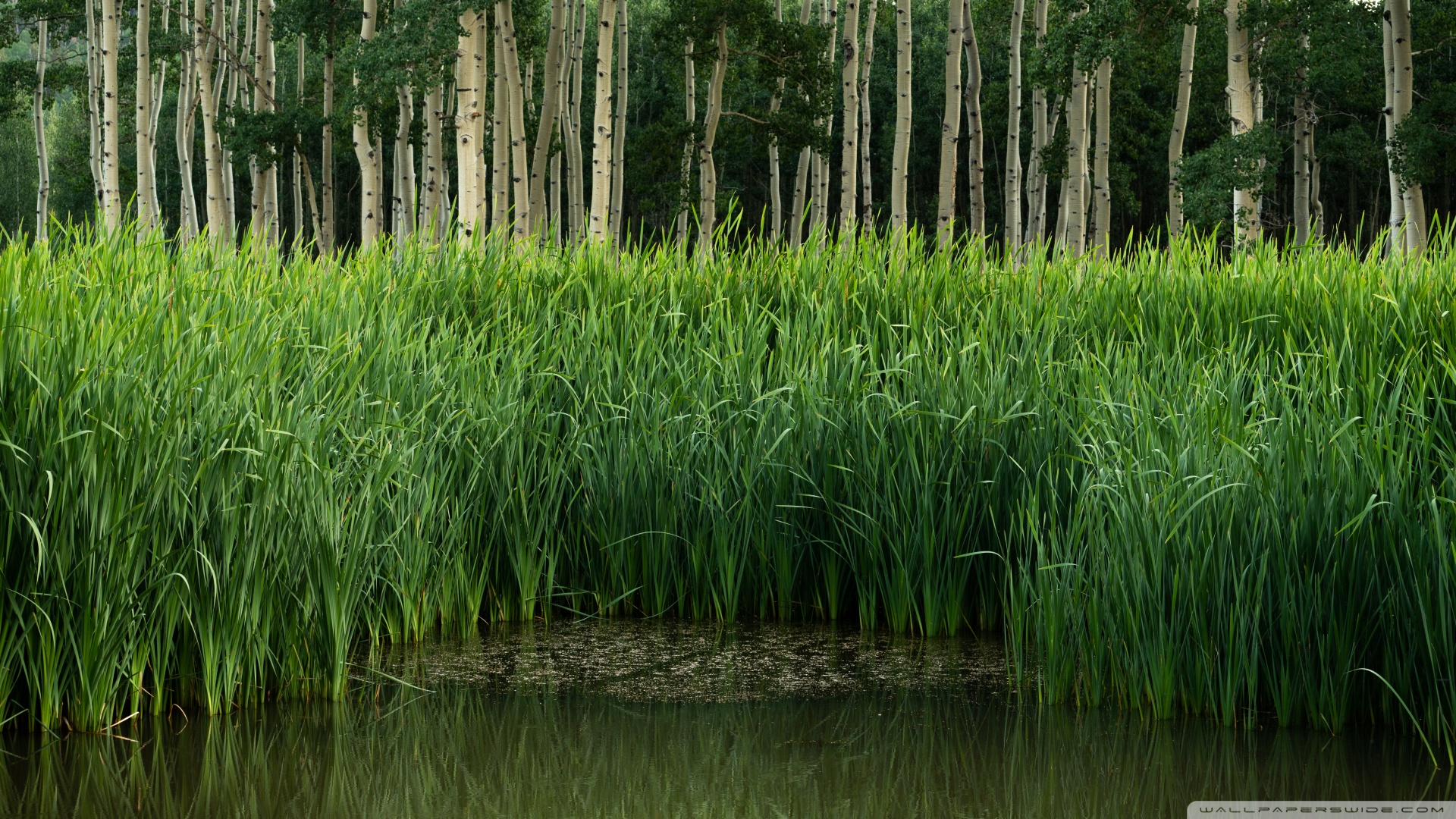 什么体质可以补硒（硒能随便补吗）-硒宝网