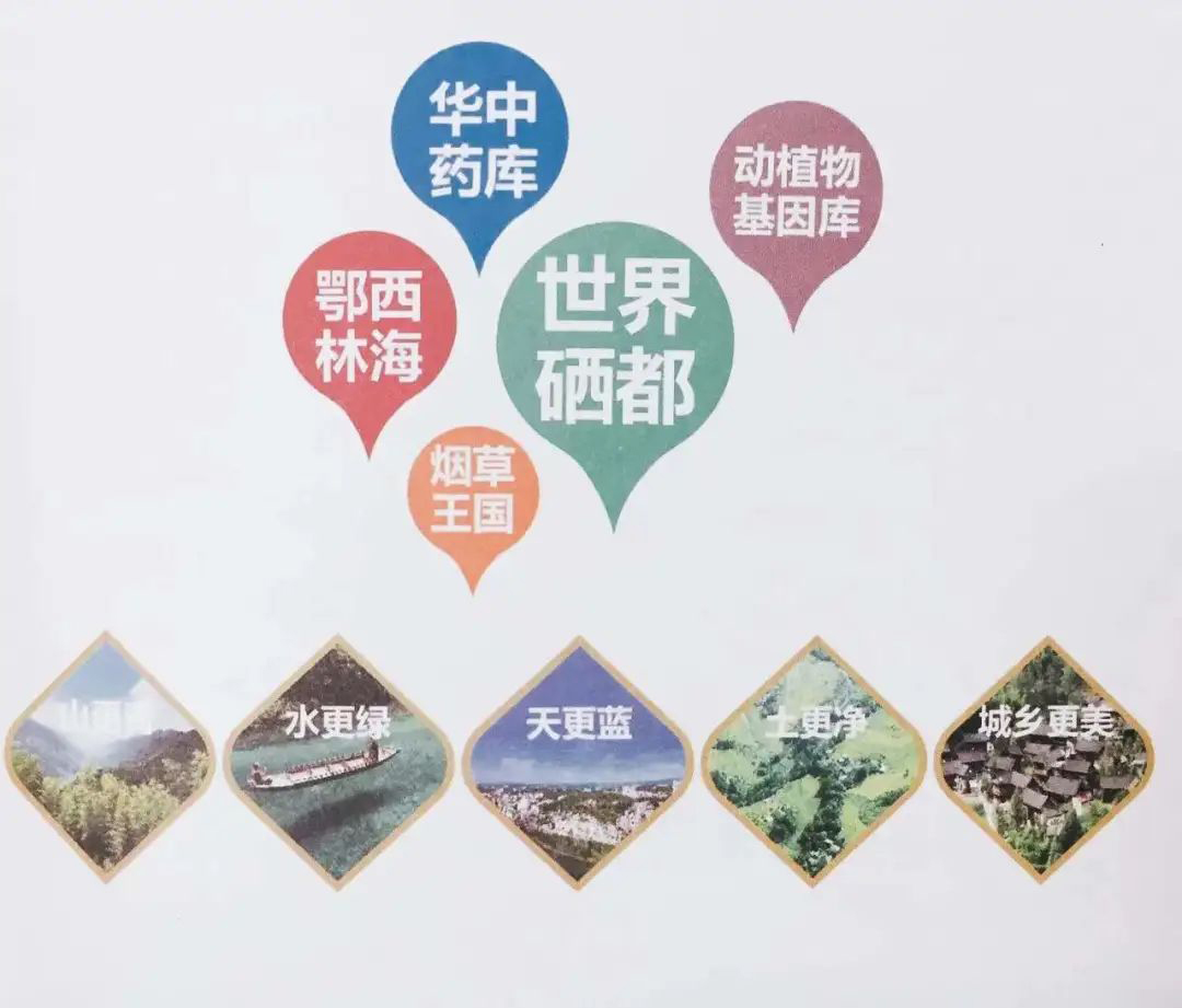 国家补硒科普宣传（全民科学补硒工程管理办公室）-硒宝网