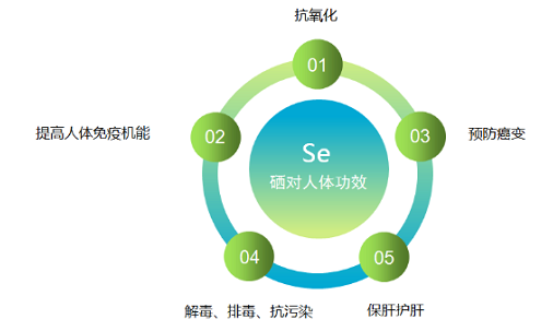 国家补硒科普宣传（全民科学补硒工程管理办公室）-硒宝网