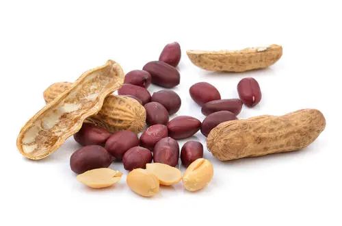 肠胃不好补多少硒(补硒对胃病的好处)-硒宝网