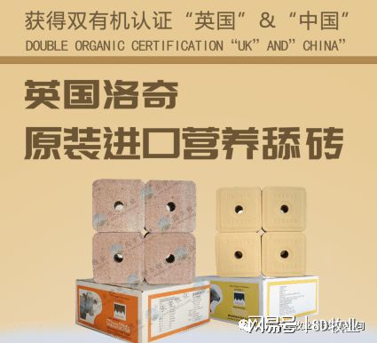 孕期母羊怎么补硒(孕期补母羊硒可以吗)-硒宝网