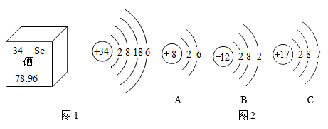补硒元素要吃哪些(硒元素需要补吗)-硒宝网