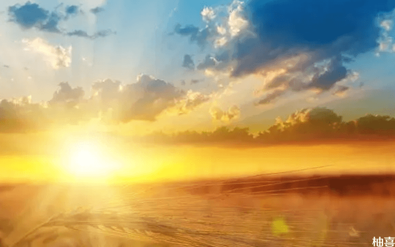 hpv补硒吃多久(得了hpv补硒)-硒宝网