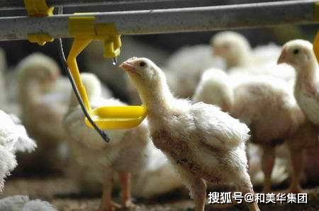 小孩补硒多大剂量（多大孩子可以补硒）-硒宝网