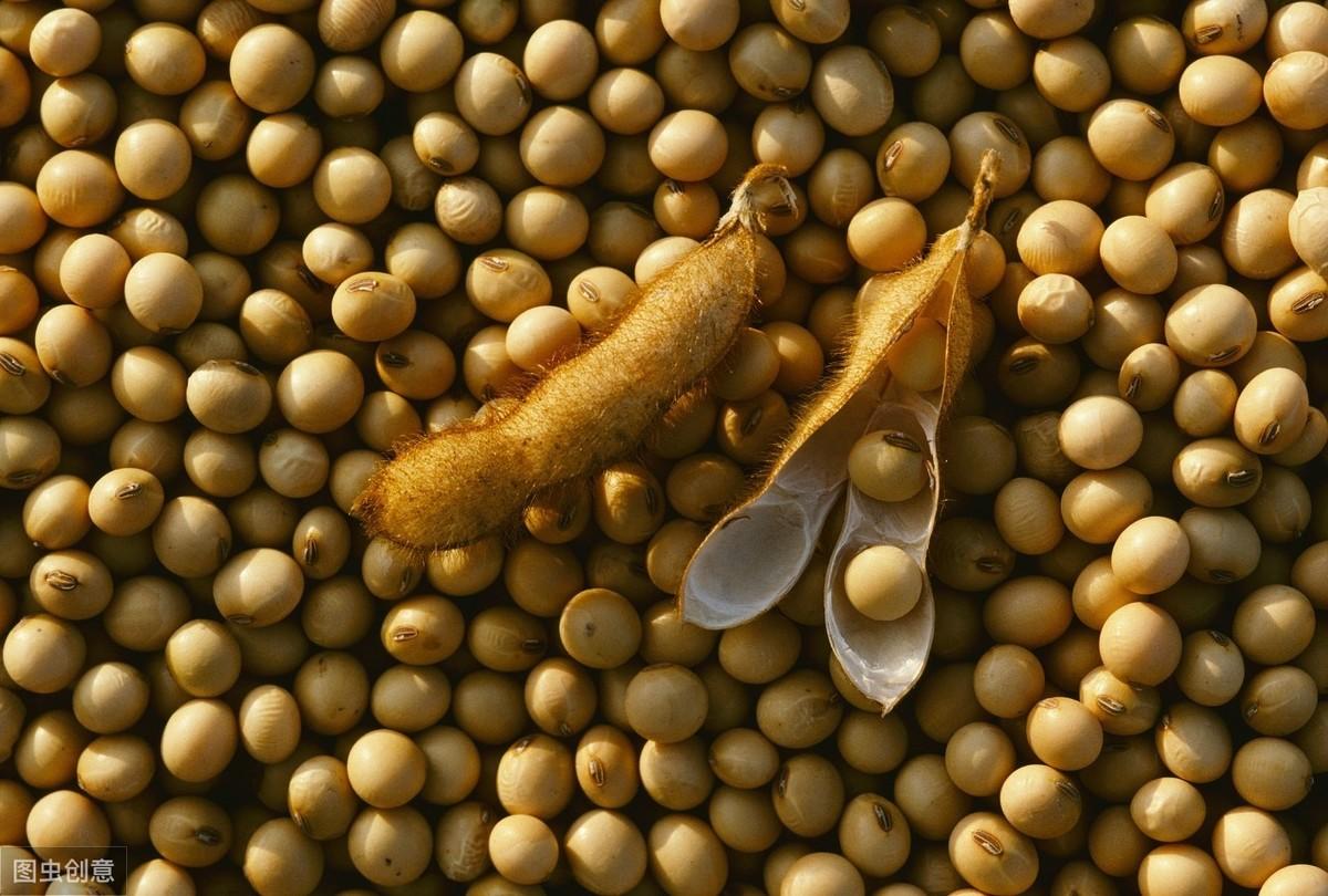 男人每天补多少硒(男人每天补充多少硒)-硒宝网