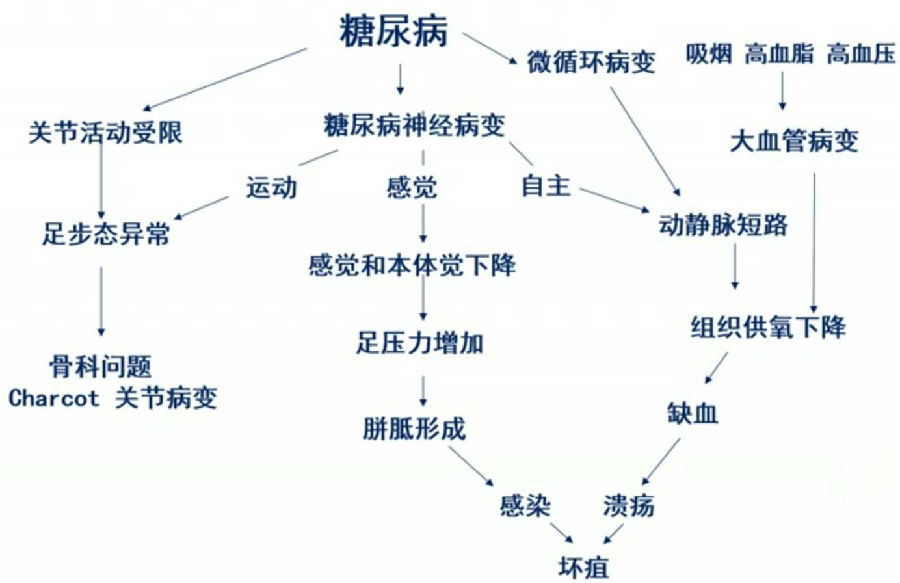 补硒后有手脚发麻(手脚发麻是缺什么维生素)-硒宝网