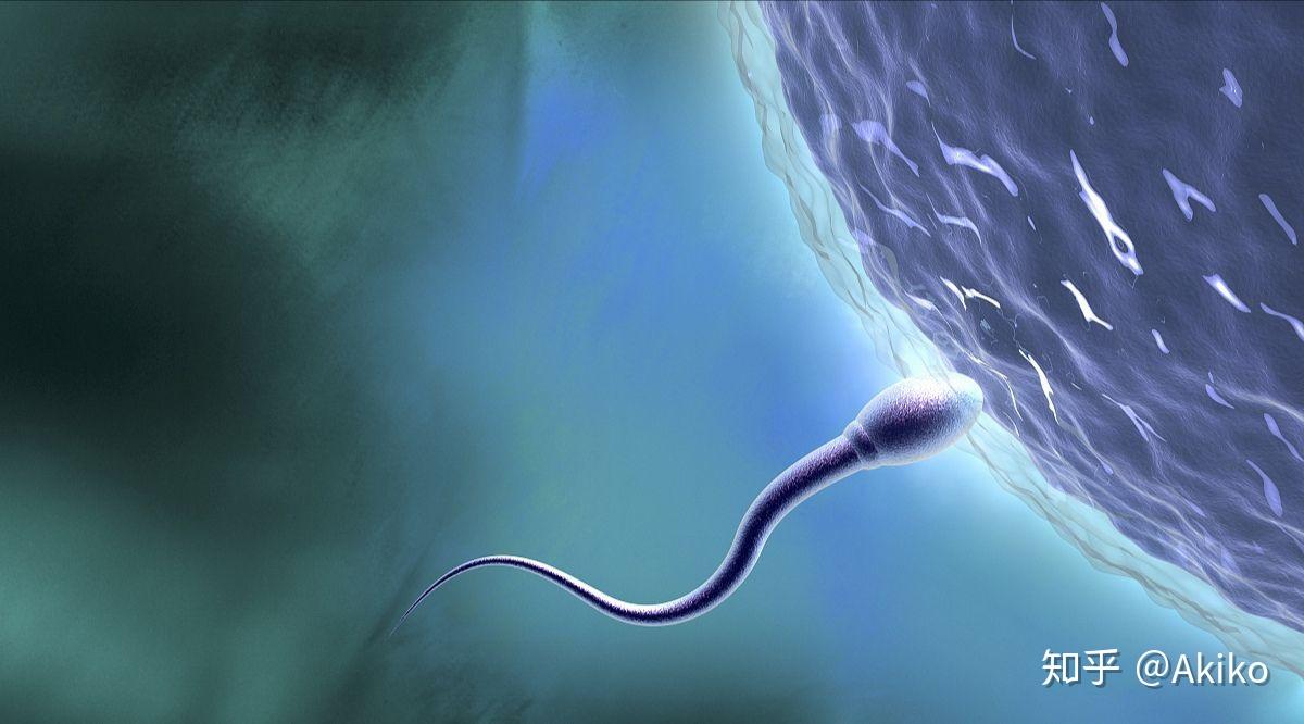 提高精子活力补硒（提高精子活力的方法）-硒宝网