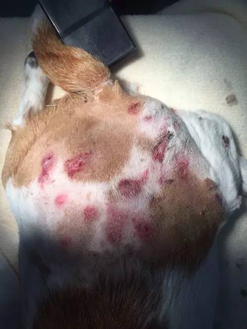 补硒好转反应名句(补硒好转反应名句)-硒宝网