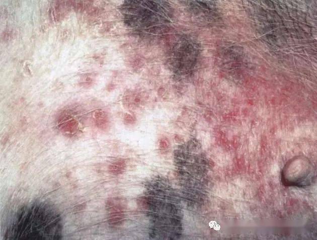 补硒好转反应名句(补硒好转反应名句)-硒宝网