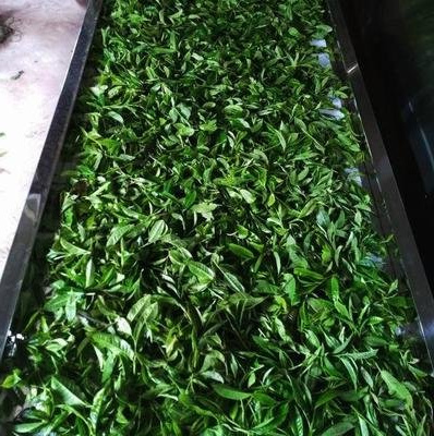 甲亢补硒食物推荐(甲亢吃补硒起什么作用)-硒宝网