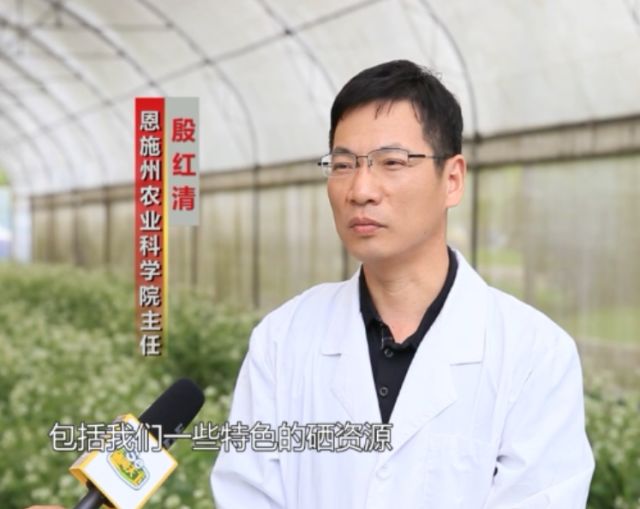 主席提倡全民补硒（关于全民补硒的中央新闻）-硒宝网