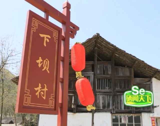 主席提倡全民补硒（关于全民补硒的中央新闻）-硒宝网