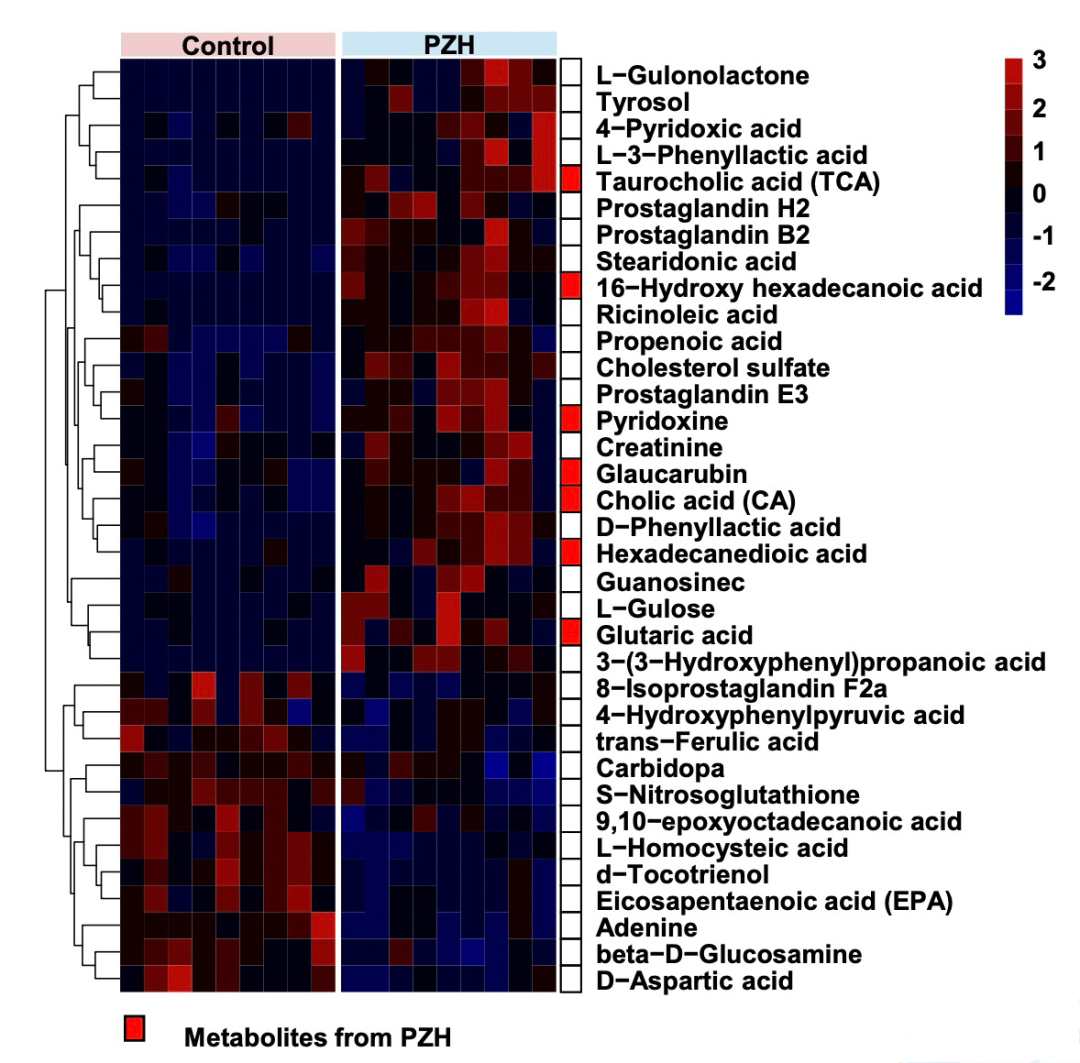 hp患者怎么补硒（补硒可以治疗hpv阳性吗）-硒宝网