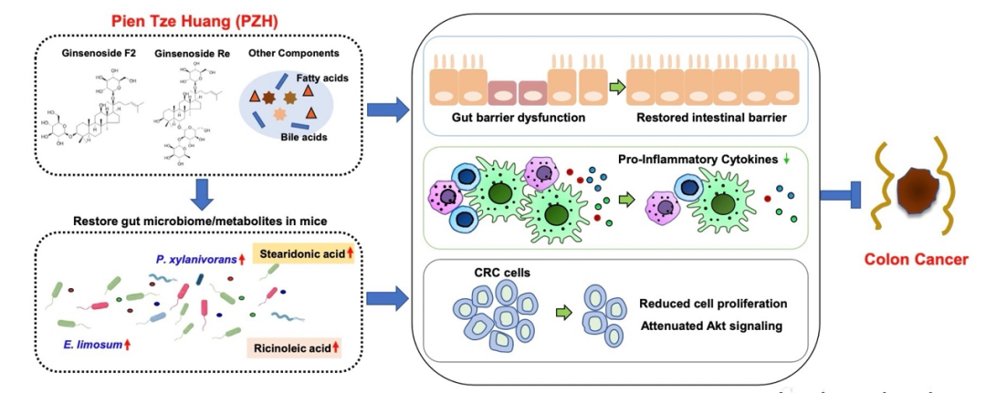 hp患者怎么补硒（补硒可以治疗hpv阳性吗）-硒宝网