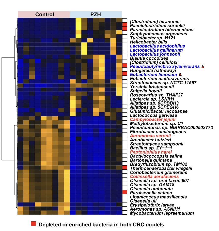 hp患者怎么补硒（补硒可以治疗hpv阳性吗）-硒宝网