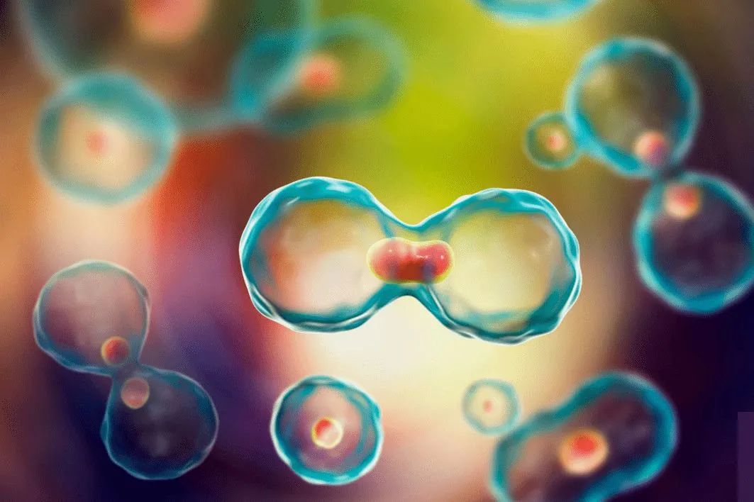 癌症补硒成功案例(补硒治疗癌症)-硒宝网