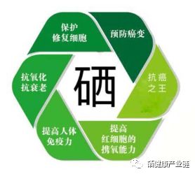 hpv补硒的剂量(hpv补硒有副作用吗)-硒宝网