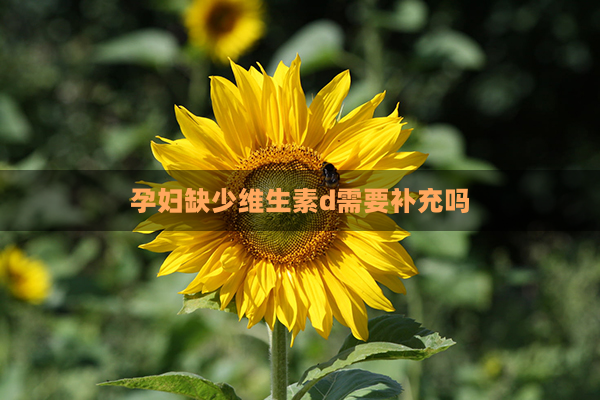 孕妇需要补硒元素（孕妇补元素需要硒多少）-硒宝网