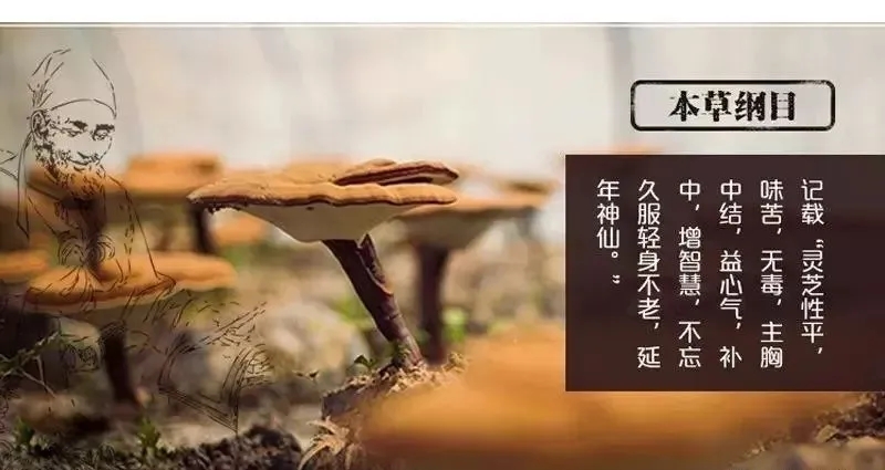 那些中药可以补硒（中药补硒可以天天吃吗）-硒宝网