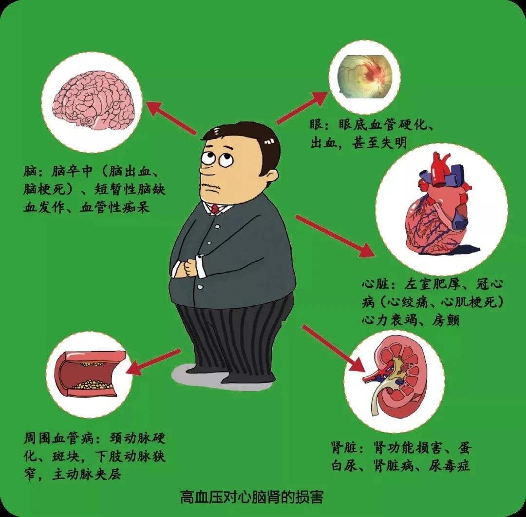 补硒造成血压降低（缺硒和高血压的关系）-硒宝网