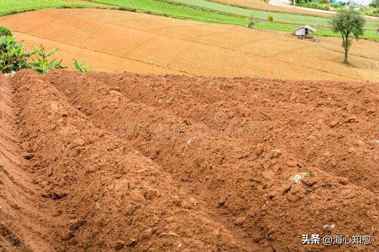 早期胃癌怎样补硒（早期补胃癌硒有用吗）-硒宝网