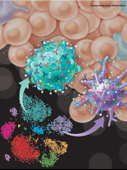 补硒肝炎可以康复(肝病患者补硒)-硒宝网