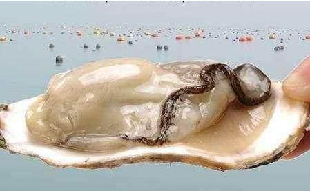 什么食物补硒最多(食疗补硒)-硒宝网