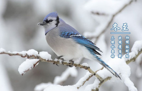 冬天应该怎样补硒(冬补补什么)-硒宝网