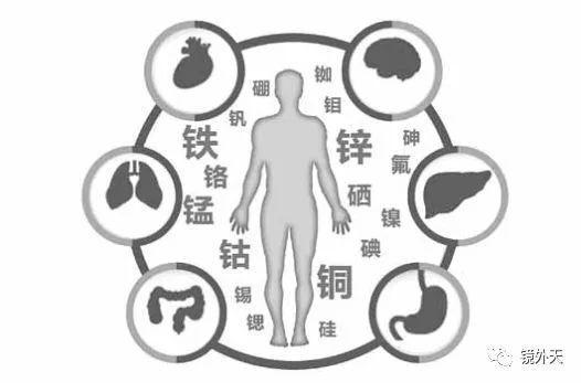 身体硒偏高怎么补(硒偏高吃什么可以降)-硒宝网