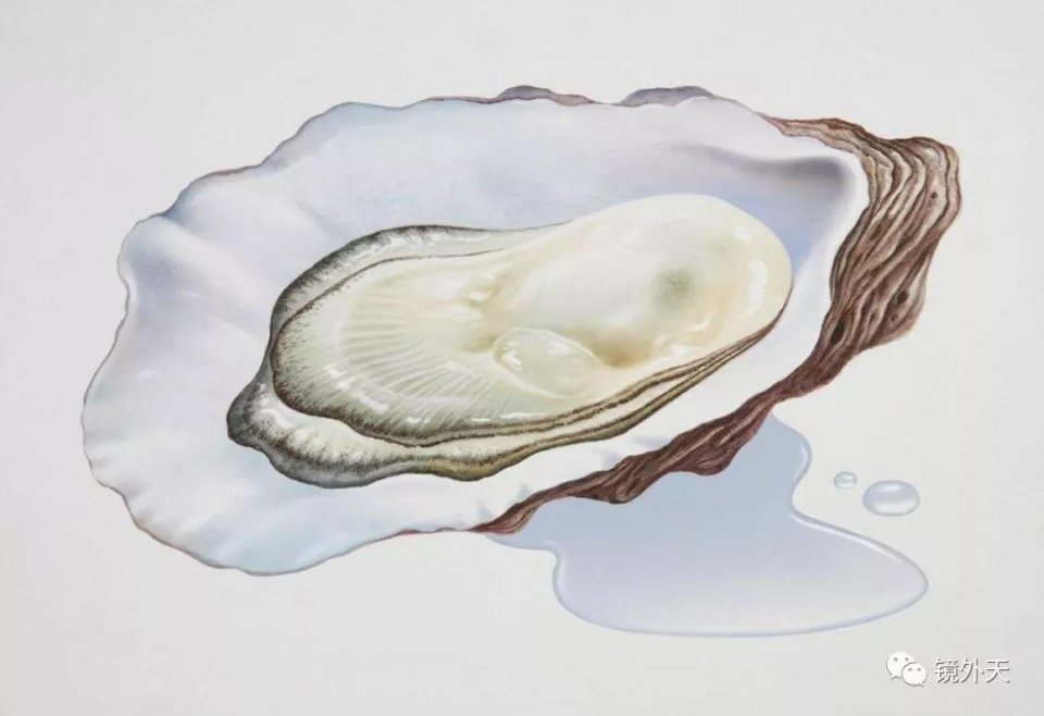 身体硒偏高怎么补(硒偏高吃什么可以降)-硒宝网