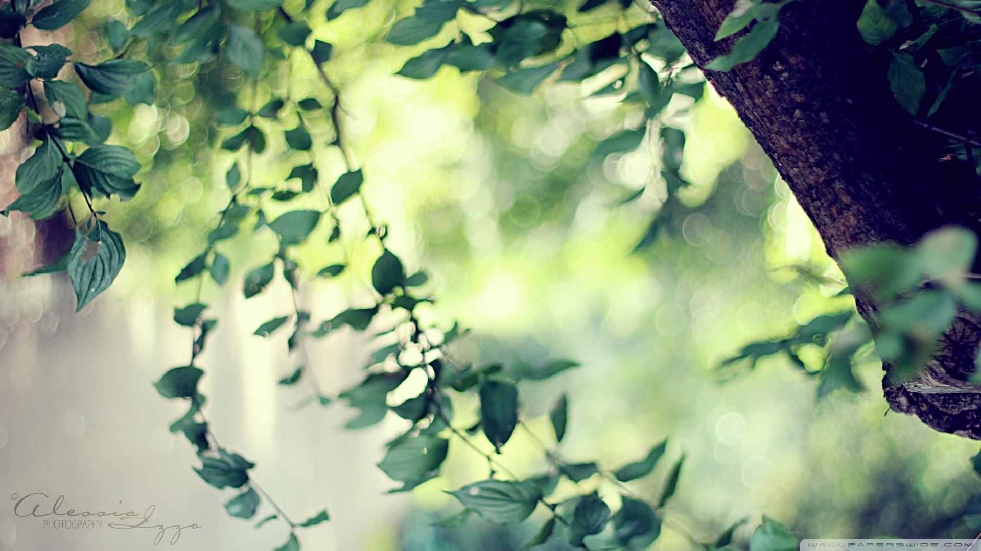 每天补硒30微克(每天补微克硒好吗)-硒宝网