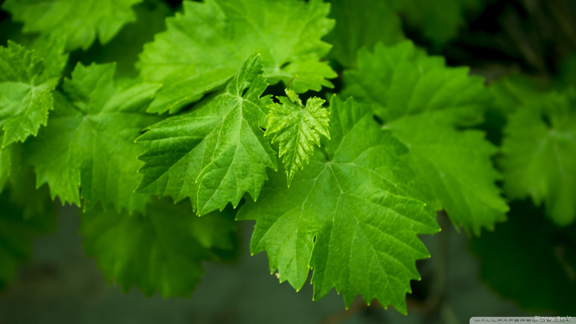 每天补硒30微克(每天补微克硒好吗)-硒宝网