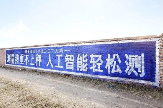 仔猪出生几天补硒（新生仔猪几天补硒）-硒宝网