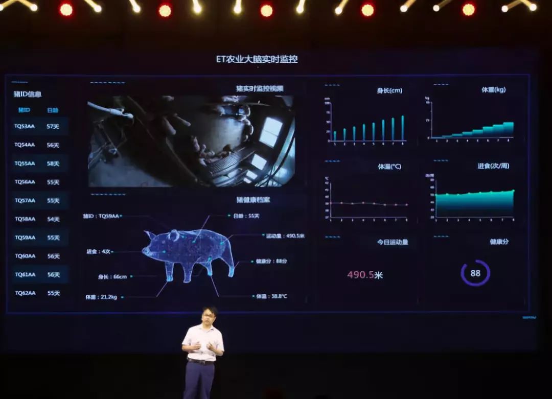 仔猪出生几天补硒（新生仔猪几天补硒）-硒宝网