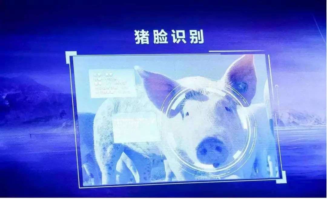 仔猪出生几天补硒（新生仔猪几天补硒）-硒宝网