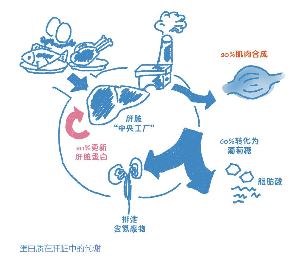 乳癌患者怎么补硒(补患者乳癌硒多少钱)-硒宝网