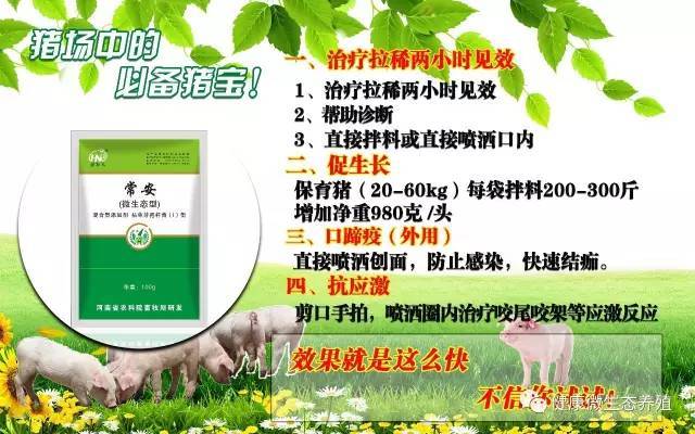 母猪怎么快速补硒(母猪补快速硒怎么补)-硒宝网