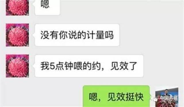 母猪怎么快速补硒(母猪补快速硒怎么补)-硒宝网