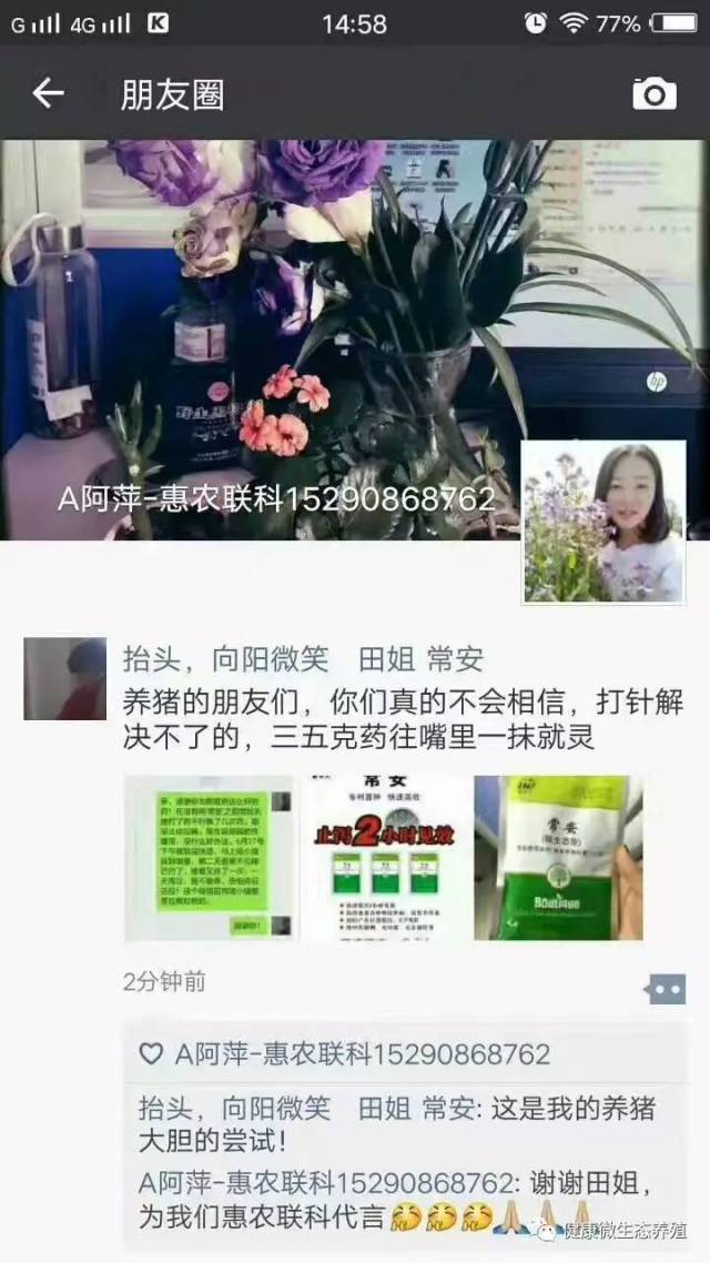 母猪怎么快速补硒(母猪补快速硒怎么补)-硒宝网