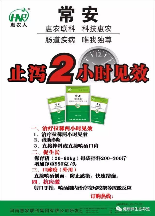 母猪怎么快速补硒(母猪补快速硒怎么补)-硒宝网