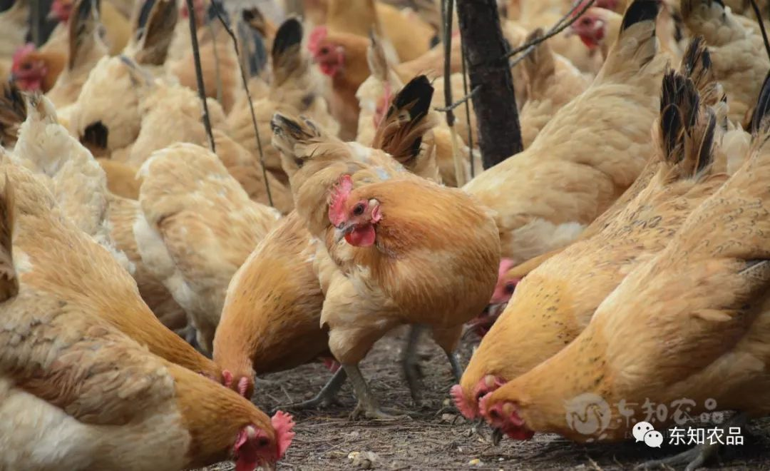 癌症患者补硒病例（癌症病人补硒的骗局）-硒宝网