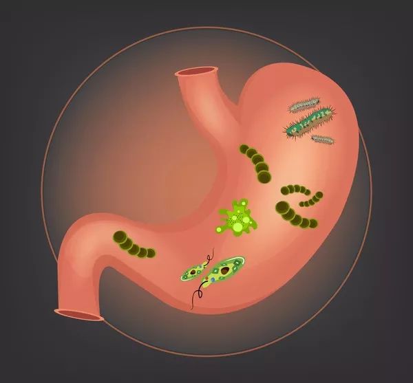 胃癌患者怎样补硒(胃癌病人怎么补硒)-硒宝网